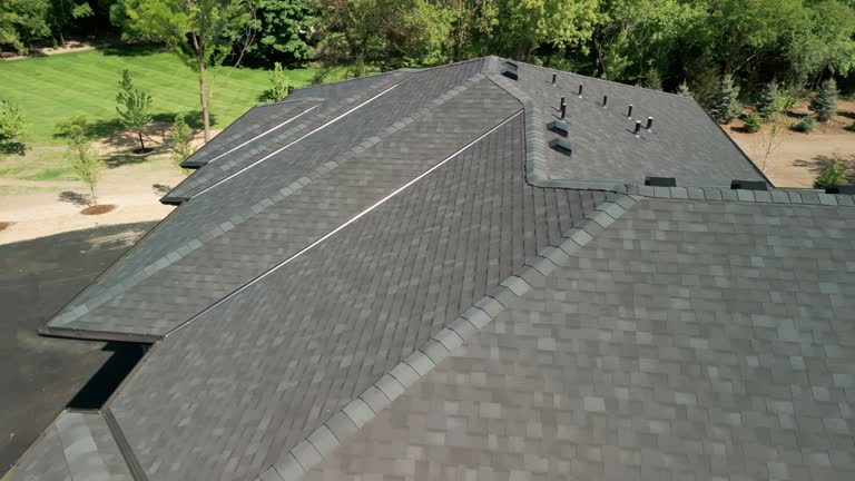 Best Roof Moss and Algae Removal  in Burke, VA