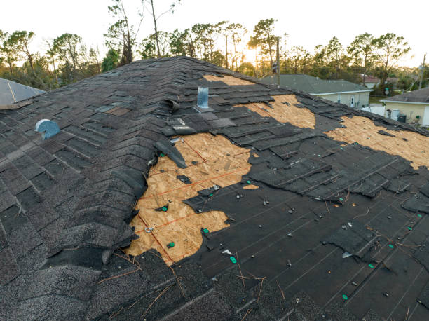 Best Storm Damage Roof Repair  in Burke, VA